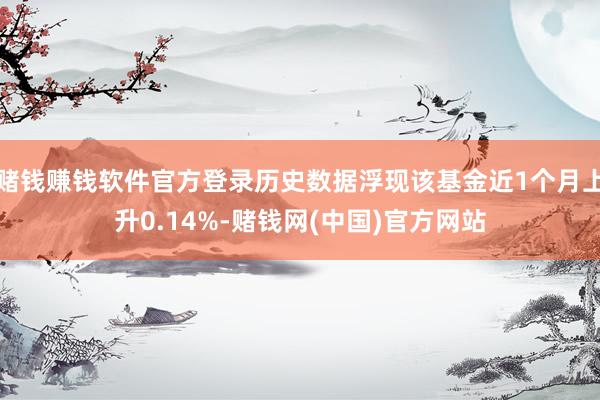 赌钱赚钱软件官方登录历史数据浮现该基金近1个月上升0.14%-赌钱网(中国)官方网站