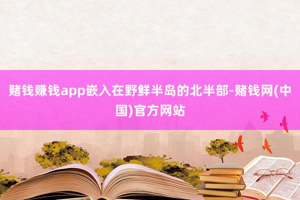 赌钱赚钱app嵌入在野鲜半岛的北半部-赌钱网(中国)官方网站