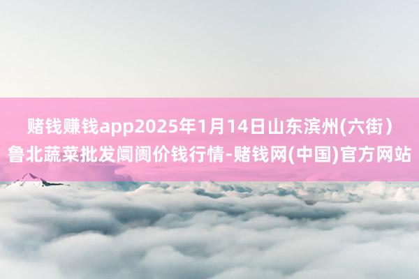赌钱赚钱app2025年1月14日山东滨州(六街）鲁北蔬菜批发阛阓价钱行情-赌钱网(中国)官方网站