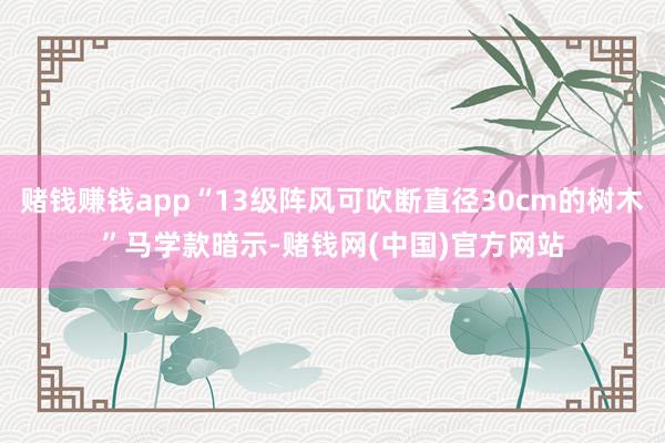 赌钱赚钱app“13级阵风可吹断直径30cm的树木”马学款暗示-赌钱网(中国)官方网站