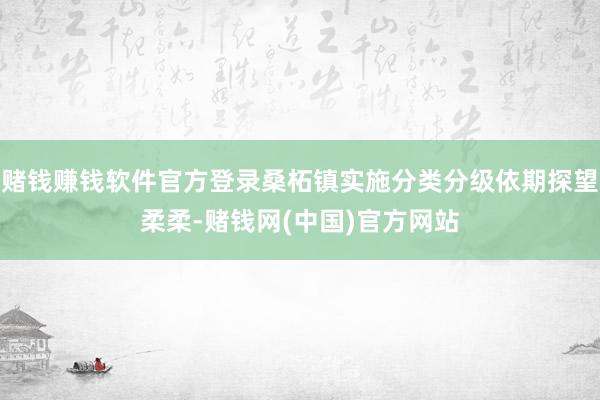 赌钱赚钱软件官方登录桑柘镇实施分类分级依期探望柔柔-赌钱网(中国)官方网站